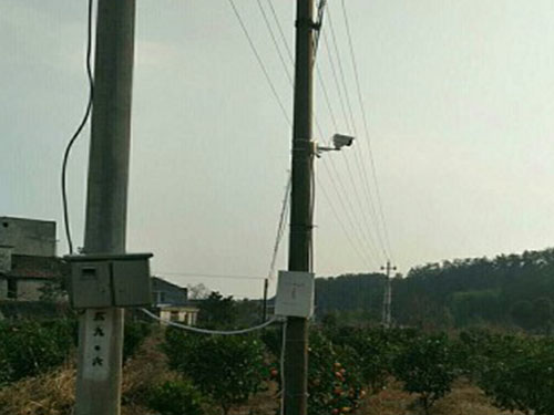 瀏陽(yáng)多友園沃柑基地安裝無(wú)線(xiàn)高清視頻監(jiān)控系統(tǒng) 瀏陽(yáng)多友園沃柑基地安裝無(wú)線(xiàn)高清視頻監(jiān)控系統(tǒng)